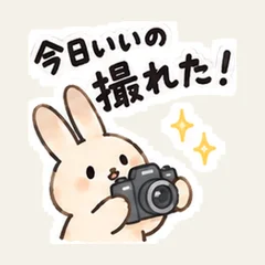 うさぎの今日いいの撮れた