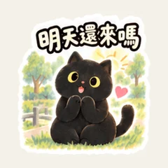 แก๊งแมวดำออกกำลังตอนเช้า