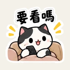 Cow Cat Drama Night