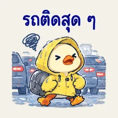 เป็ดเสื้อกันฝน กำลังไปนะ