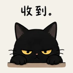 แมวดำหน้าบึ้งแต่ห่วงนะ