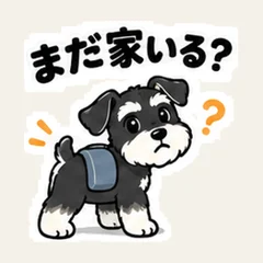 Schnauzer Home Check