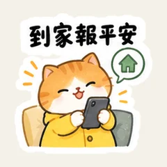 茶トラ猫の雨の日の予定変更