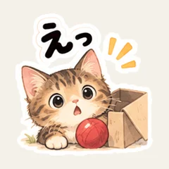 箱入りキジトラの反応