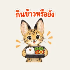 สบายดีไหมวันนี้เพื่อน